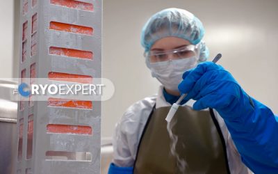 Cryogenic Engineering Consulting: Optimizing Systems for Extreme Performance