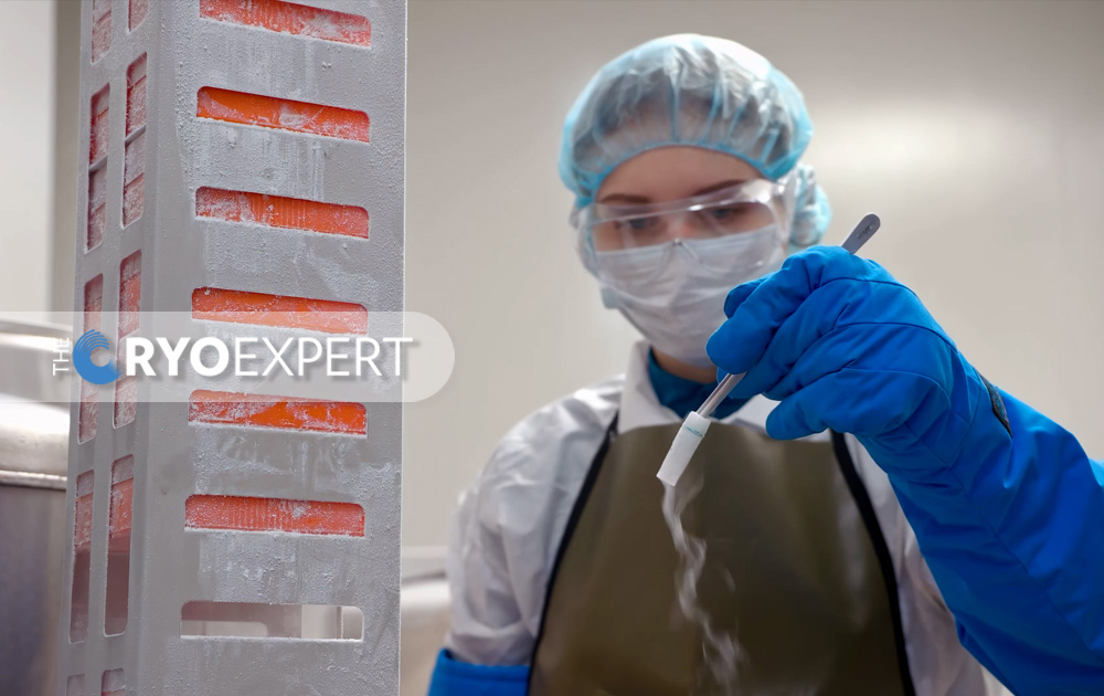 Cryogenic Engineering Consulting: Optimizing Systems for Extreme Performance