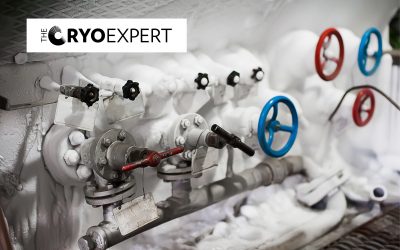 Cryogenic Pumps and Pressure Build-Up Systems: Managing Phase Stability