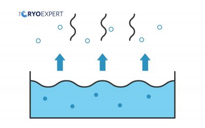 Boil-Off Gas Management: Balancing Energy and Economics
