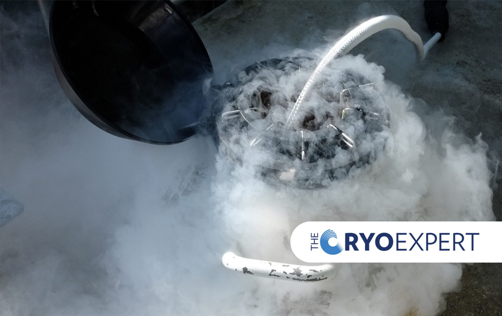 Heat Transfer at Cryogenic Temperatures